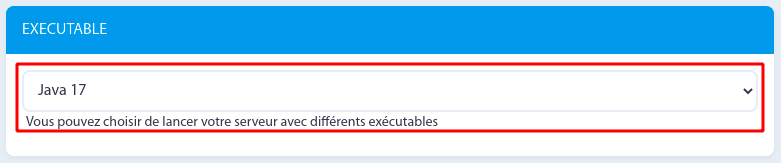 Hosterfy | Configuration | Option de démarrage | Exécutable | Java 17