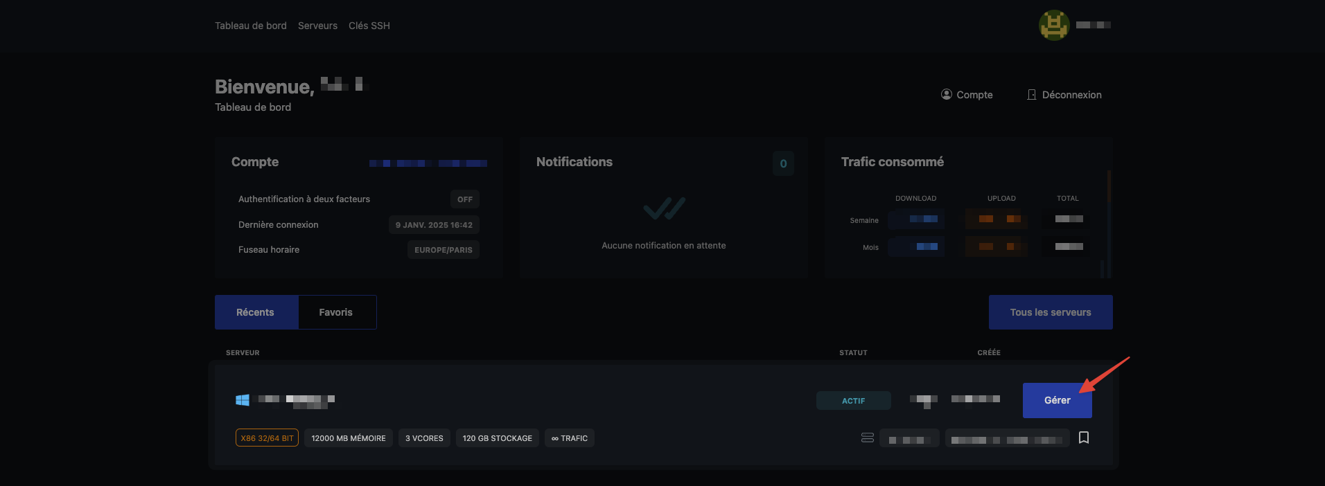 VPS management interface dashboard