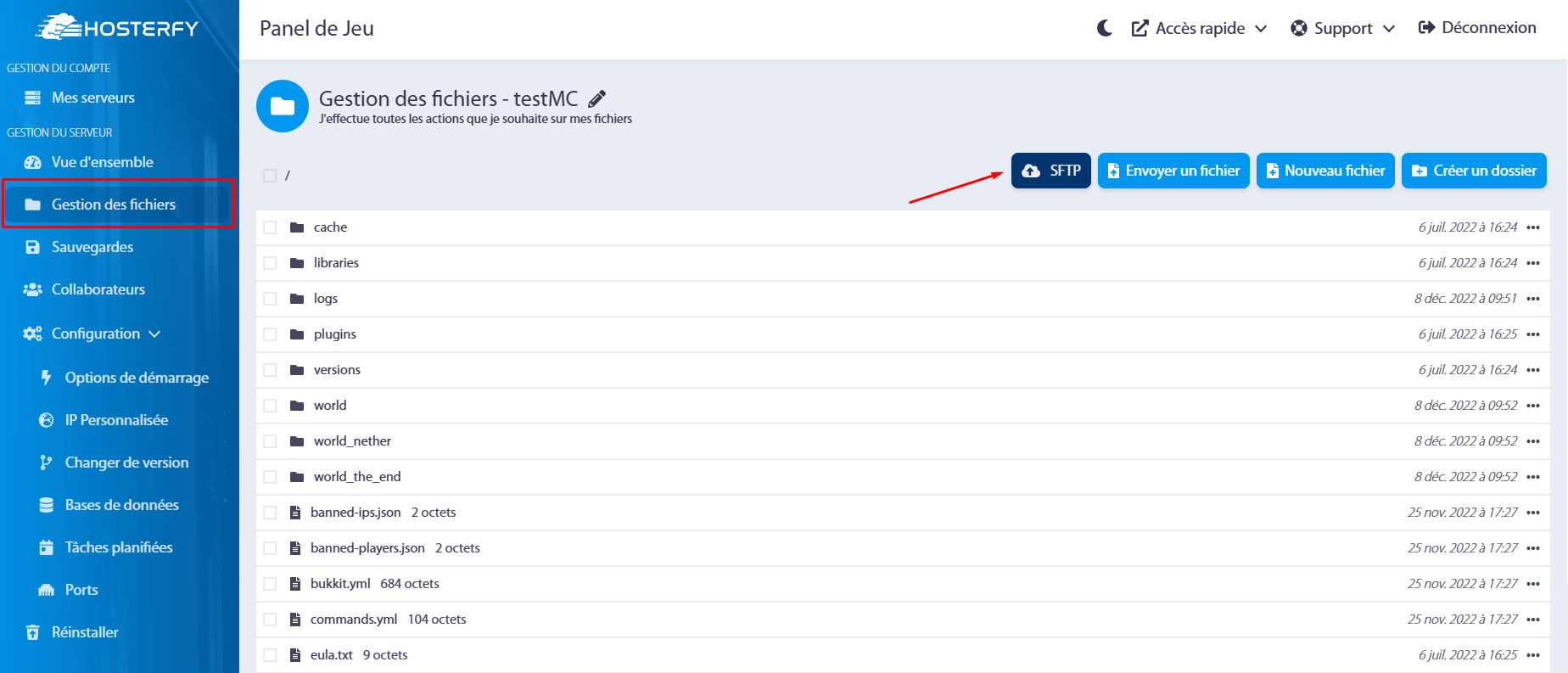 Gestion des fichiers sur le panel de gestion