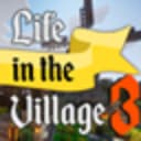 Life in the village 3